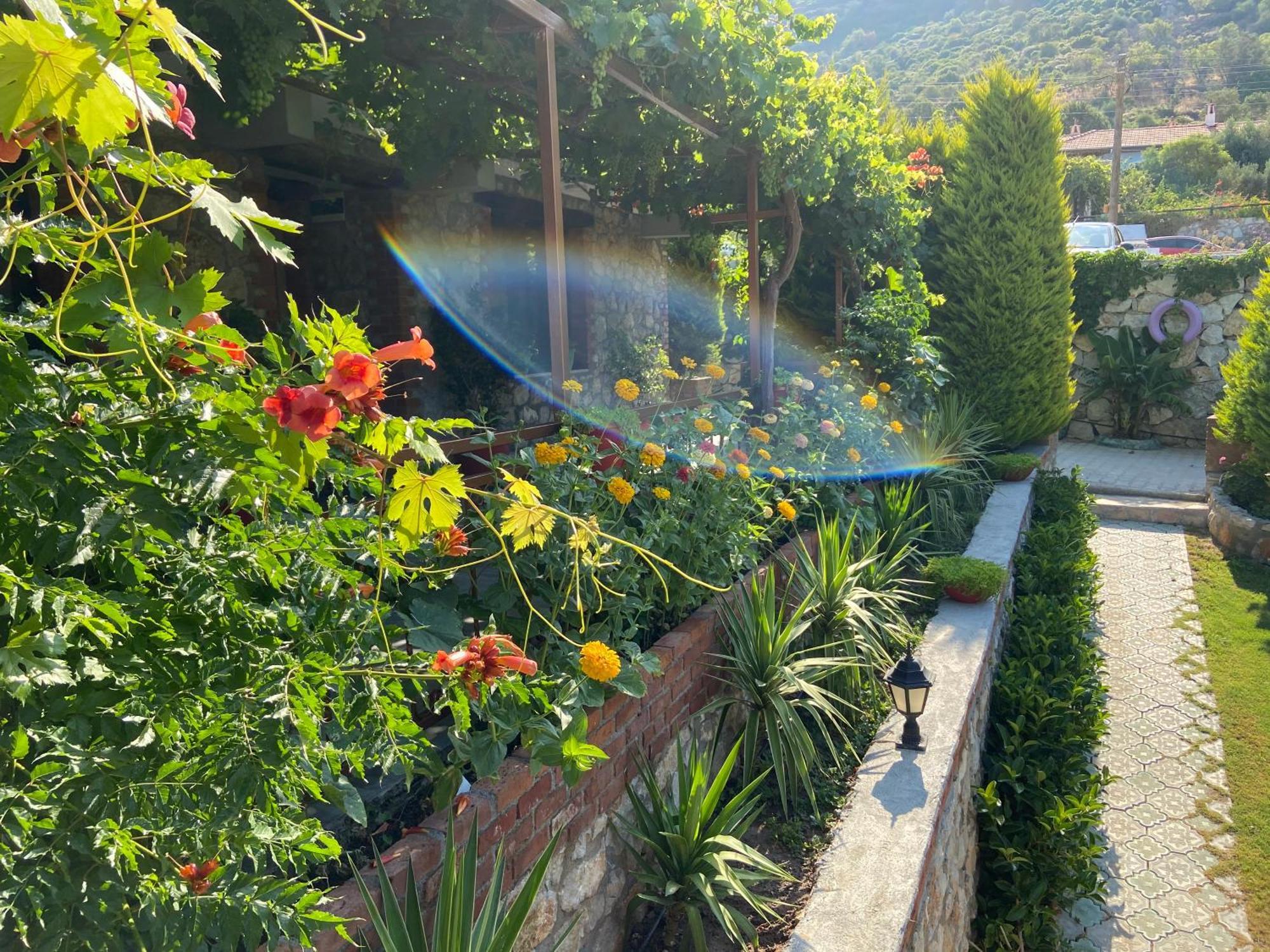 Sogut  Suna House מראה חיצוני תמונה
